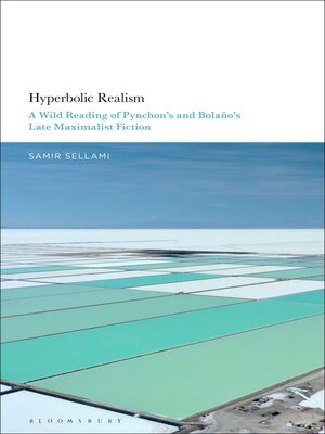 cover image of Hyperbolic Realism